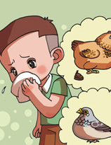 春季不做病猫 防流感手册