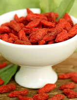 枸杞子的作用与功效有哪些