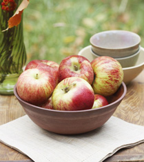 冬季消脂排毒食物御寒不怕肥胖