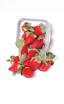 春节身排毒要吃什么