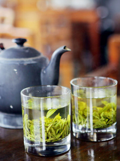 绿茶减肥的配方你知多少