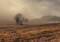 二十四节气之处暑的由来