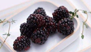 ��Ѫ��ʳ������Щ