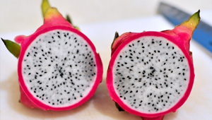 �������Ĺ�Ч������