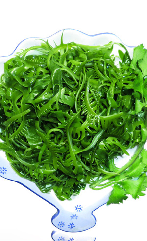 甲状腺疾病饮食禁忌