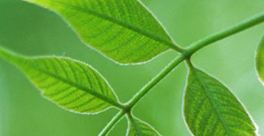 正确对待金钱能延年益寿