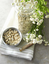 五个养生食谱 防治咳嗽有高招