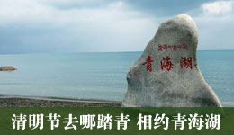 清明节去哪踏青 相约青海湖