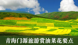 清明放假安排 青海门源旅游赏油菜花要点