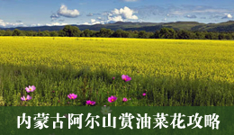 清明赏油菜花 内蒙古阿尔山赏花攻略