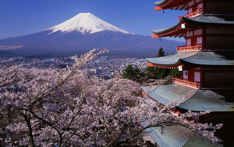 清明节去哪里赏花 日本赏樱攻略