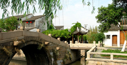 清明赏花 姹紫嫣红的江南