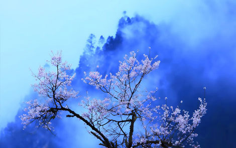 春季自驾游旅行车推荐之沃尔沃V60