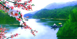 湖南常德赏桃花