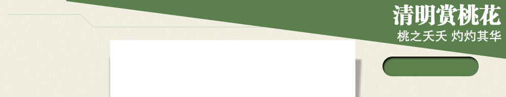 清明赏桃花