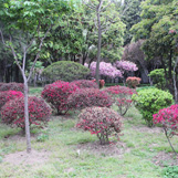 清明谚语知多少