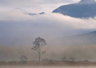 霜降有什么习俗