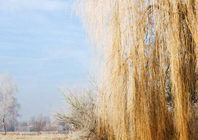 二十四节气之霜降的由来