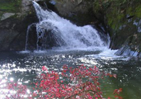 霜降节气期间的天气特点