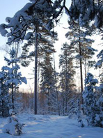 寒冬“糖友”养生要点：吃好穿暖轻松过冬