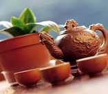 茶语禅味 浅谈中华茶文化与养生