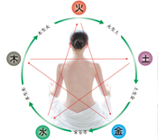 专家教 五行养生治未病