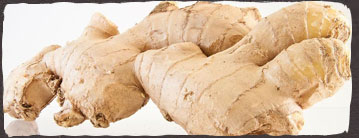 男人补肾“姜”来助阵