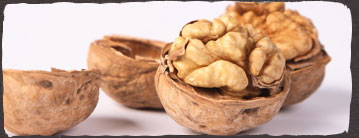 中医传授4绝妙秘方 不花钱照样养好肾