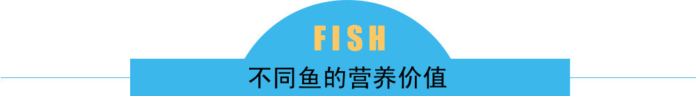 不同鱼的营养价值
