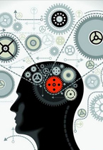 强大脑 如何提升记忆力