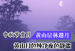 中秋节去哪里赏月 黄山月色纯净夜色静谧