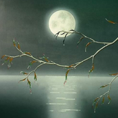 花前月下赏风景